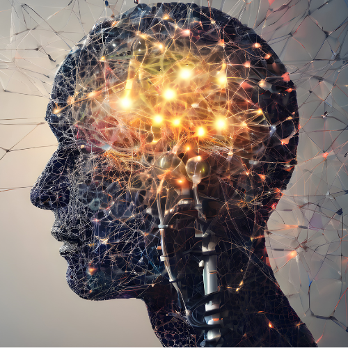 brain